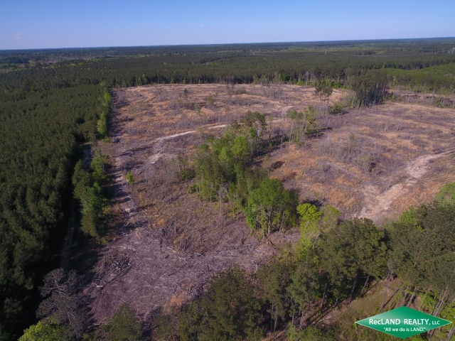 40 ac - Union Parish LA Timberland, Hunting for Sale - off Phillips Rd