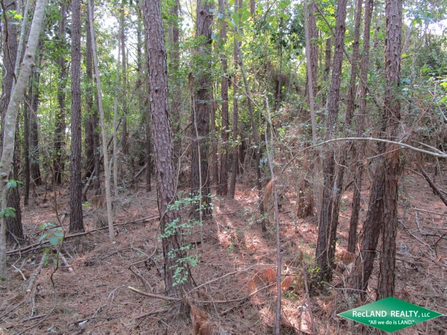 land for sale newton nc land for sale newton nc